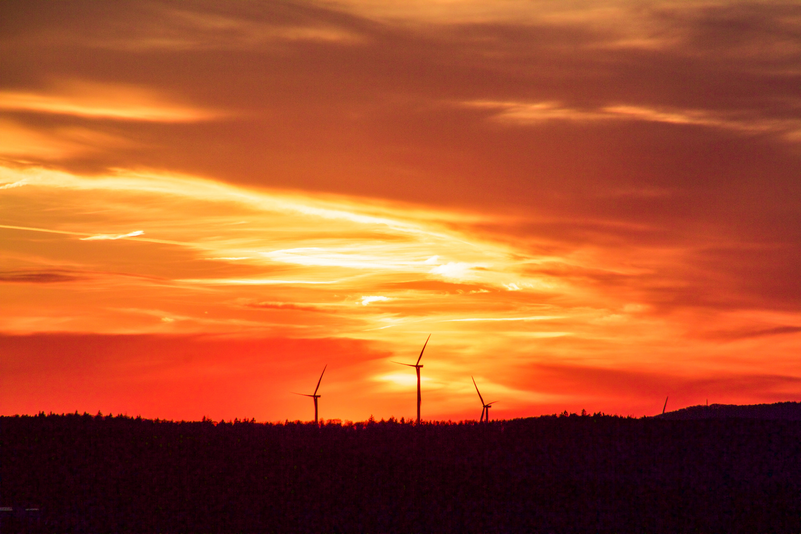 Sunset Palatinate Forest