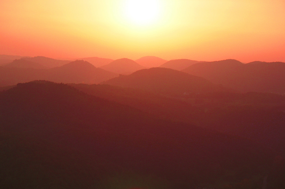 Sunset Pfälzerwald