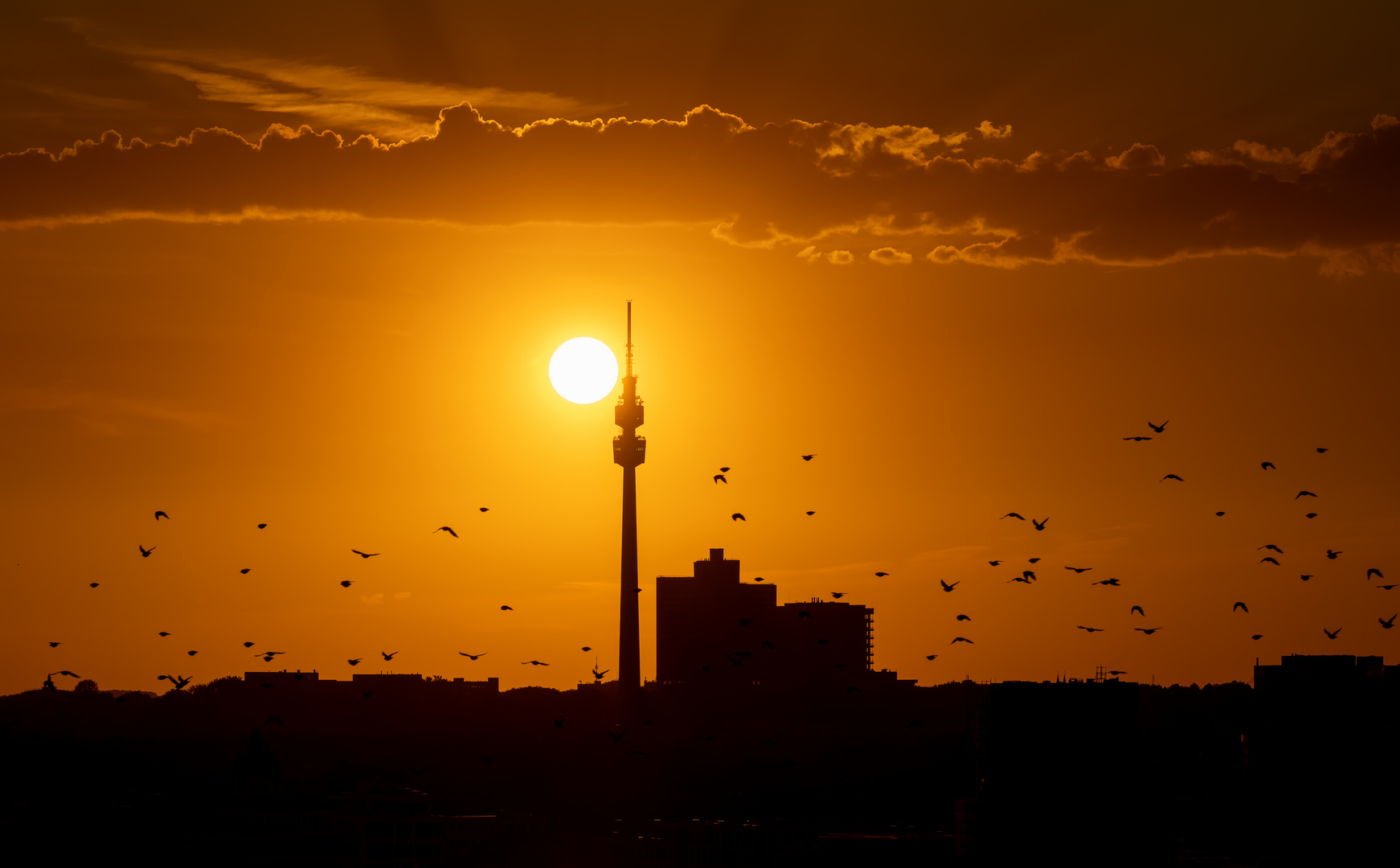 Sunset Phoenix-See