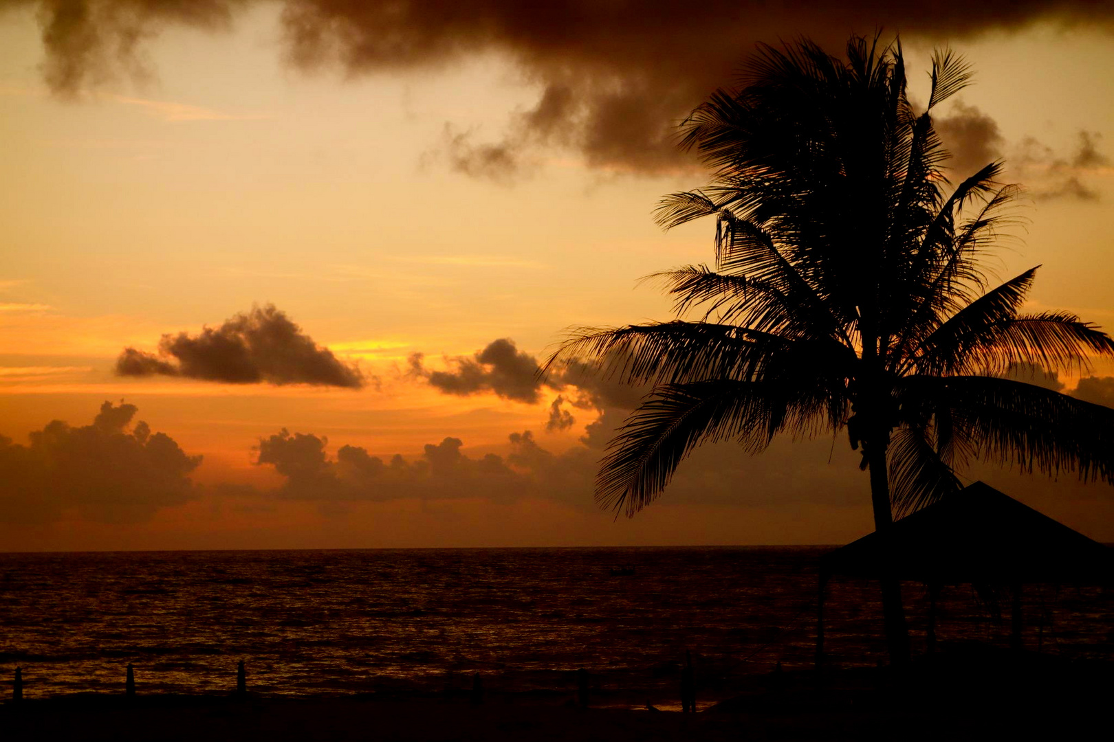 Sunset Phuket