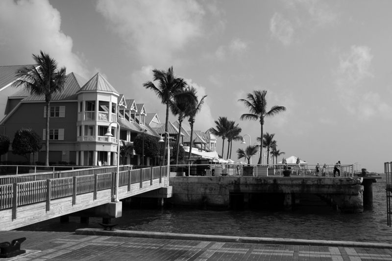 [ sunset pier ]