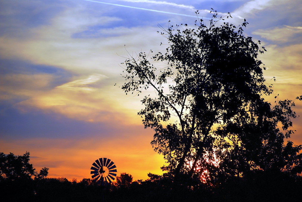 Sunset Playland