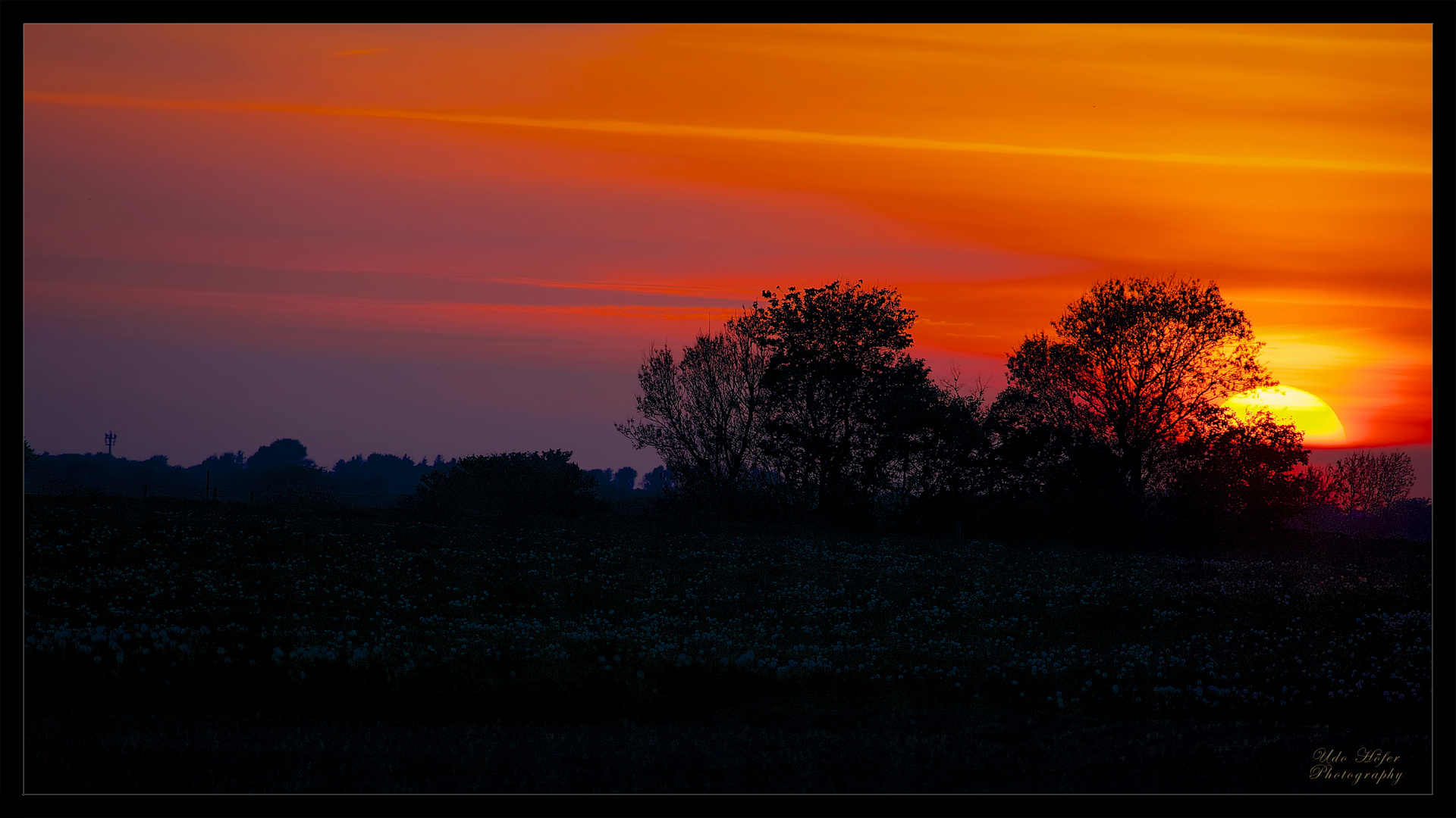 "Sunset-Poppyfield"