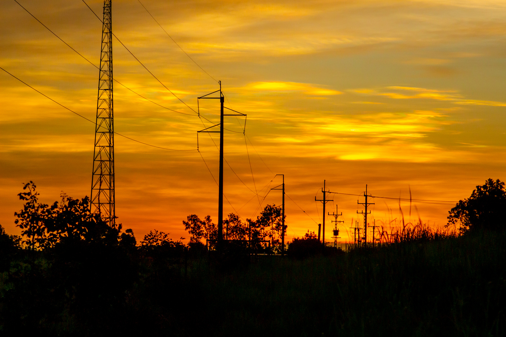 Sunset & Powerlines