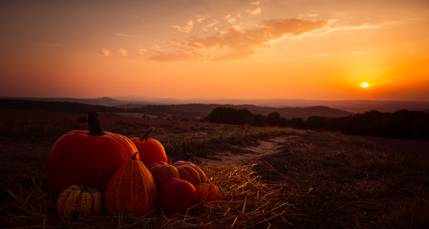 ~~ Sunset Pumpkin ~~ Foto & Bild | stillleben, jahreszeiten, herbst