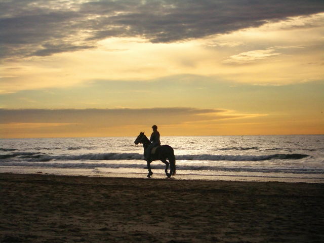 sunset-rider