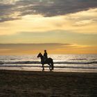 sunset-rider