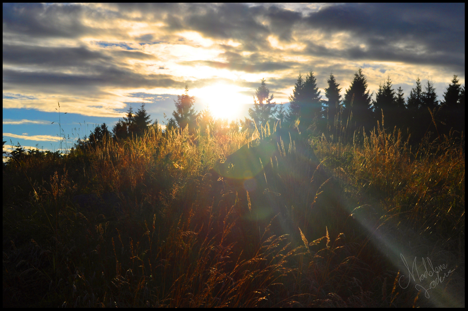 Sunset rock