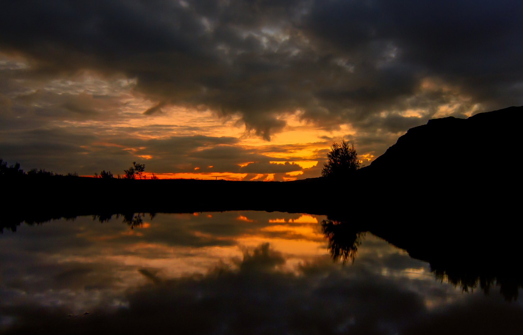 Sunset Shadows