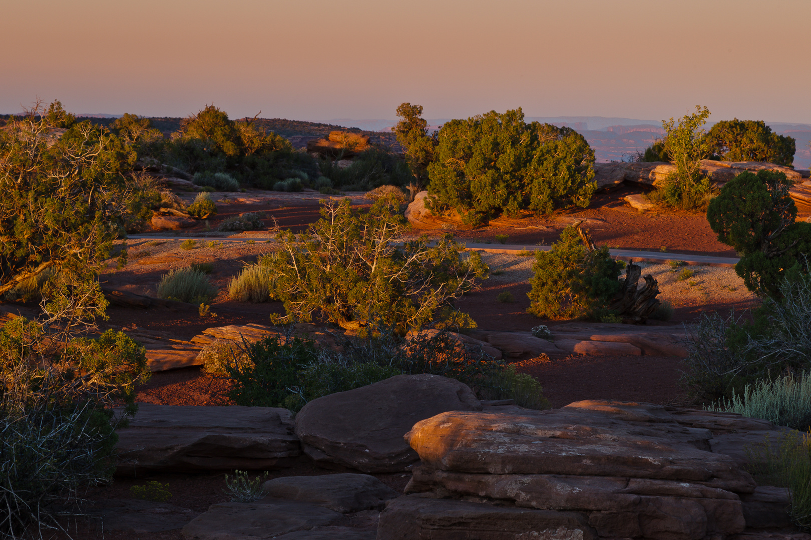 Sunset Shadows