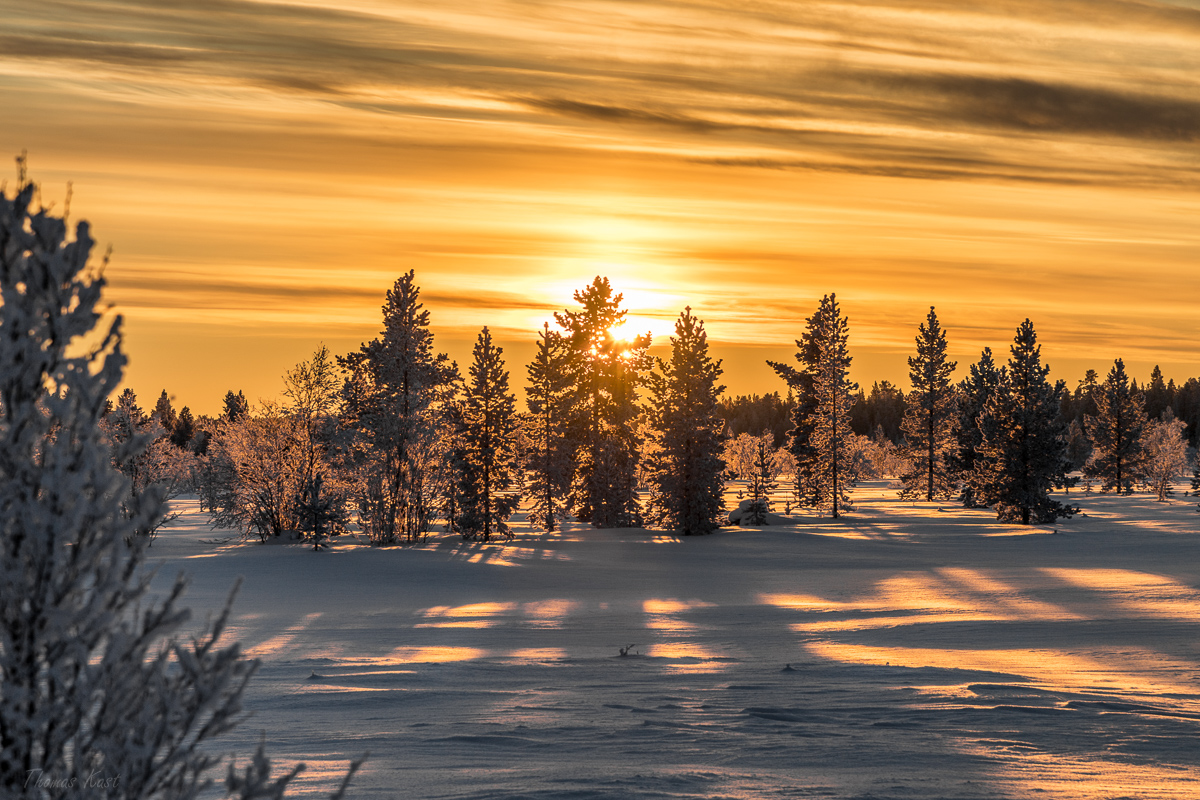 Sunset shadows - Sonnenuntergangsschatten