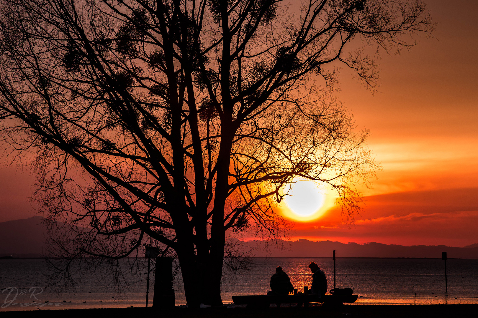 Sunset Silhouette