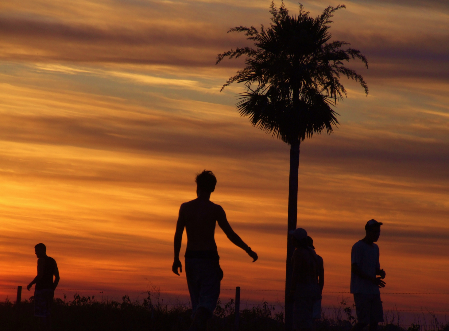 Sunset Soccer