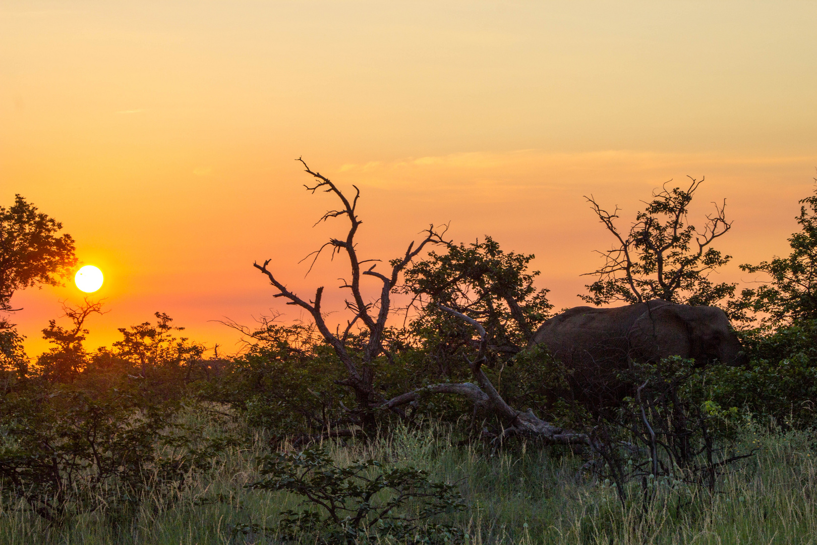 sunset South Africa 