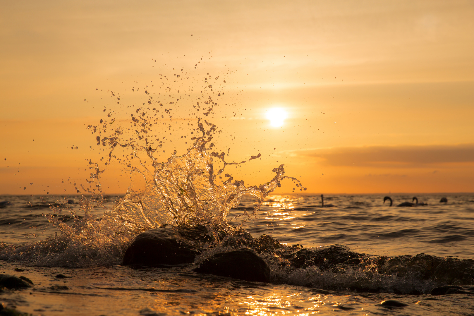 sunset-splash