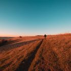 Sunset stroll