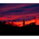 Arizona