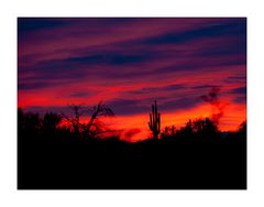 Sunset südlich von Ajo