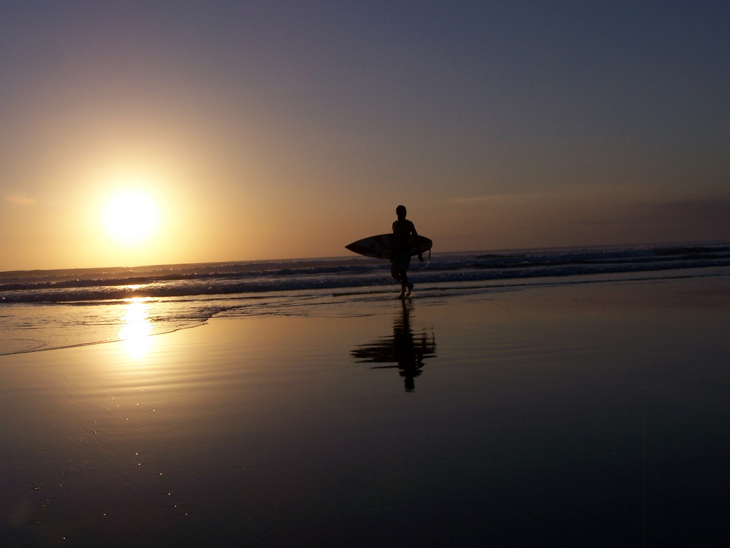 Sunset Surfer