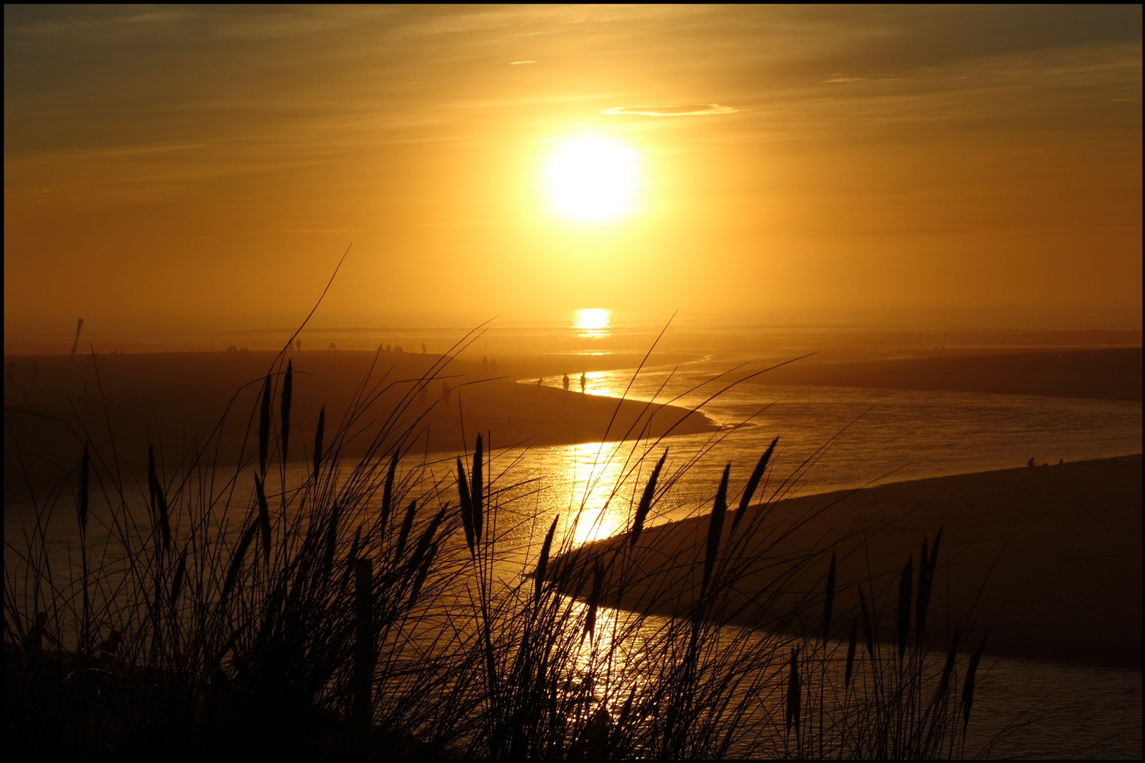 Sunset Surfing