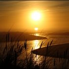 Sunset Surfing