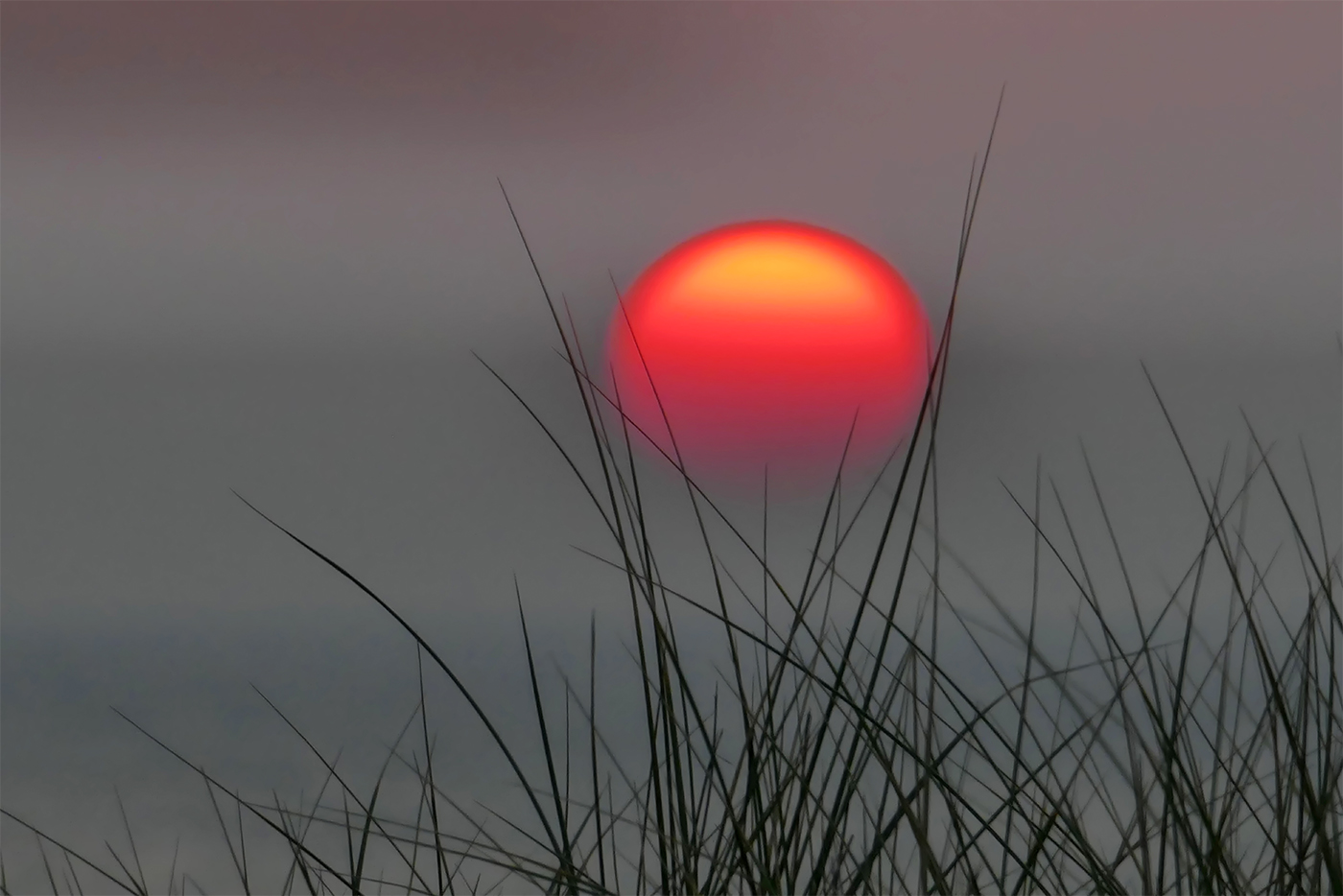 Sunset Sylt