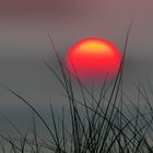 Sunset Sylt