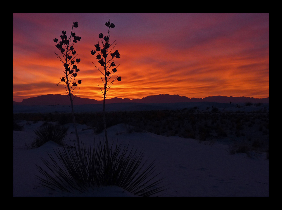 Sunset Tango