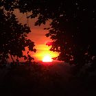 Sunset through a shadows of leaves