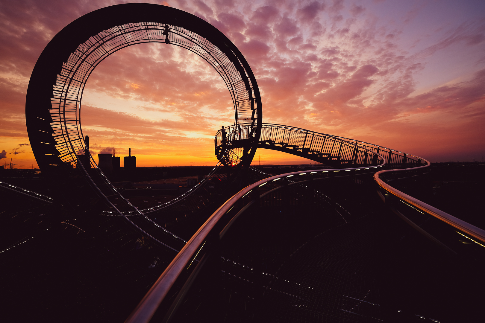 Sunset Tiger & Turtle