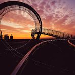 Sunset Tiger & Turtle