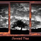 Sunset Tree