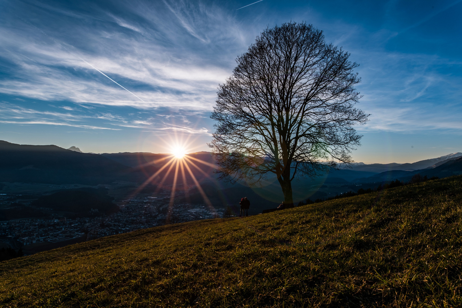 Sunset Tree