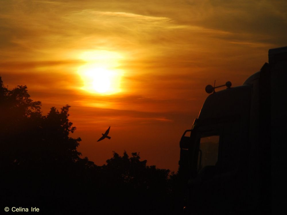 Sunset Trucker by Celina Irle 