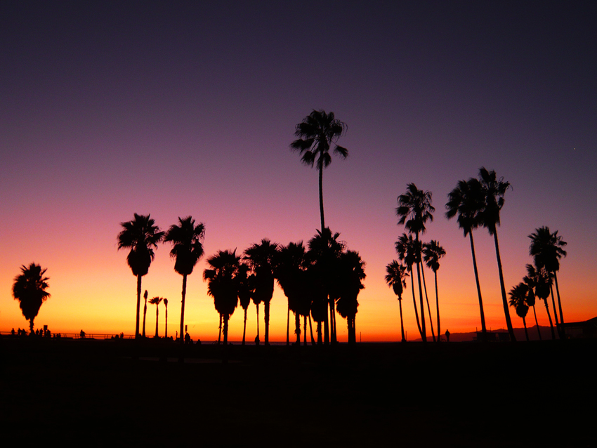 Sunset @ Venice Beach