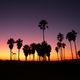 Sunset @ Venice Beach