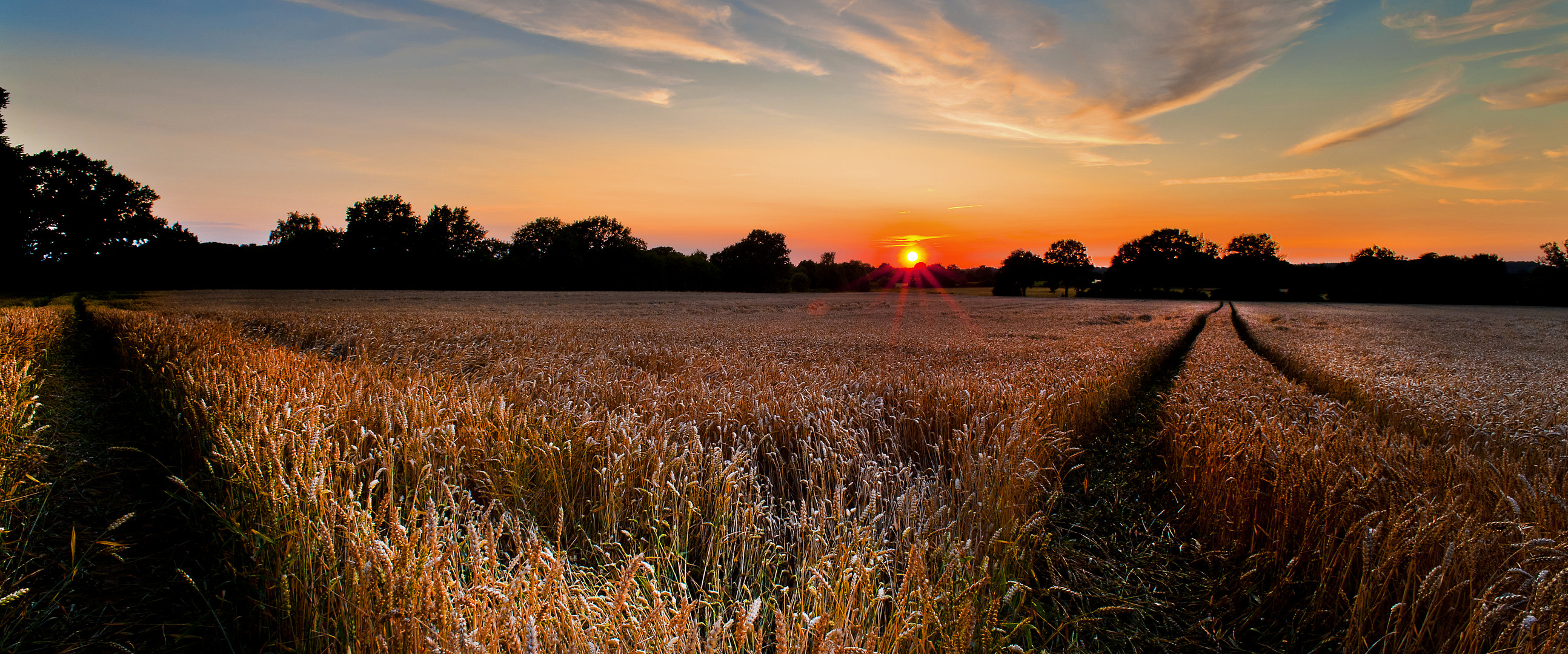 Sunset View