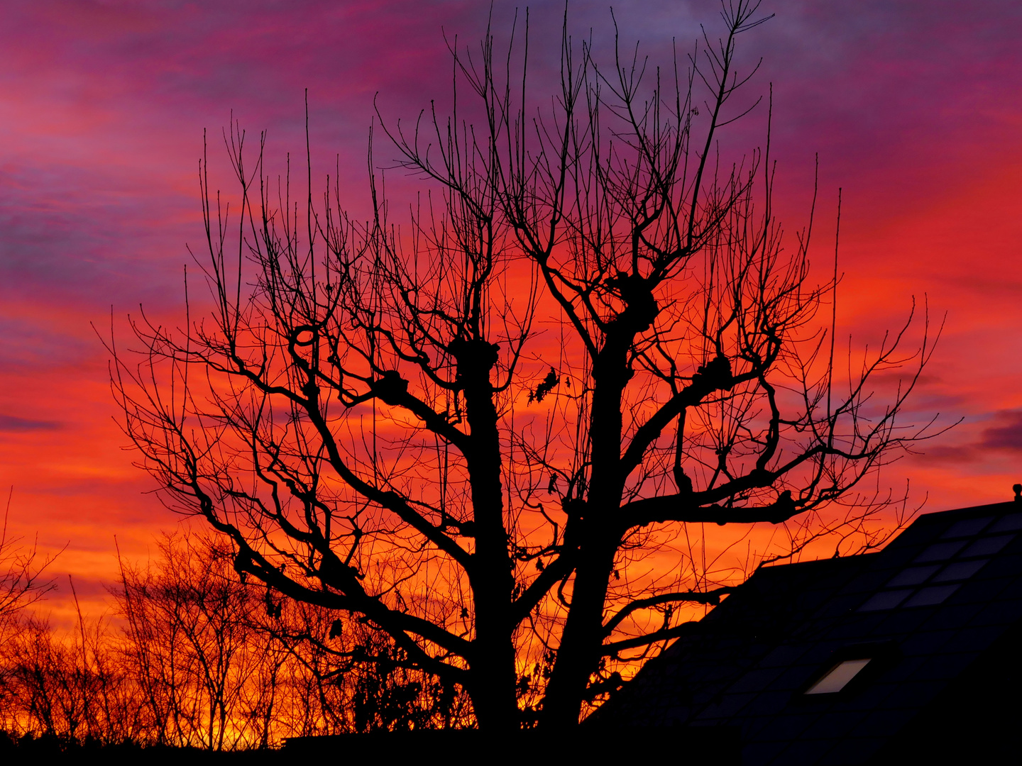 sunset von heute