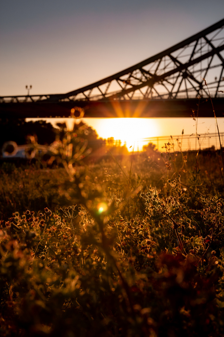 Sunset vor dem Blauen Wunder in Dresden