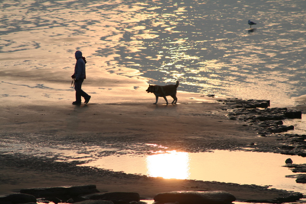 sunset walk