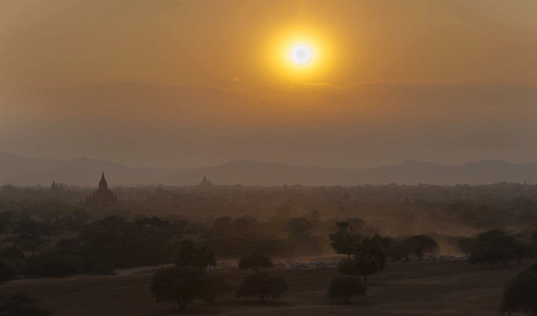 sunset-walk