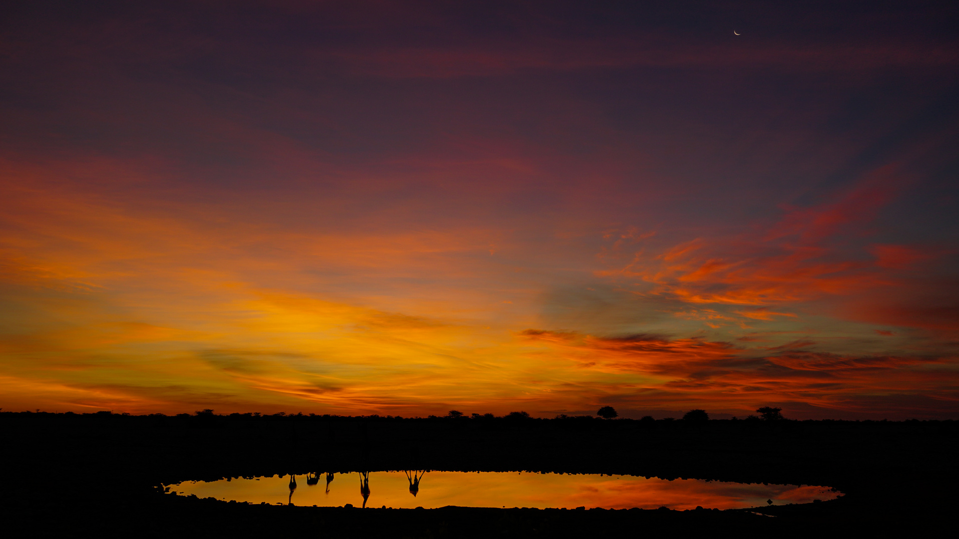 Sunset @ Waterhole, Etosha, Namibia