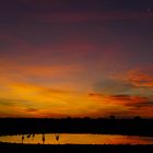 Sunset @ Waterhole, Etosha, Namibia