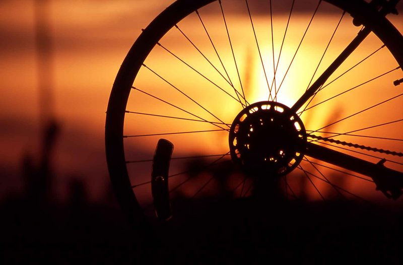 Sunset Wheel