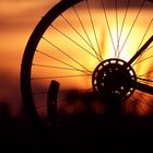 Sunset Wheel