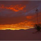 Sunset @ White Sands