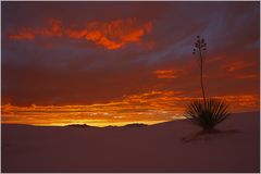 Sunset @ White Sands