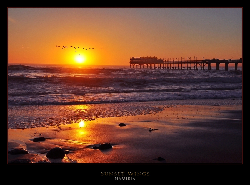 Sunset Wings