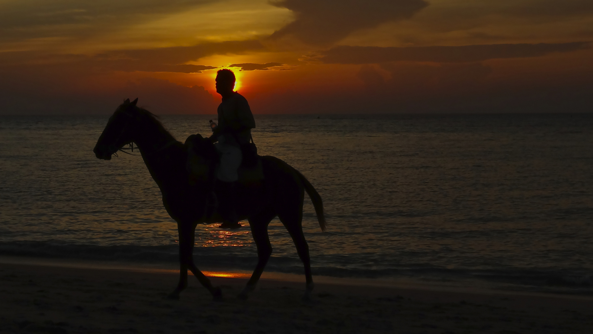 sunset with a horse