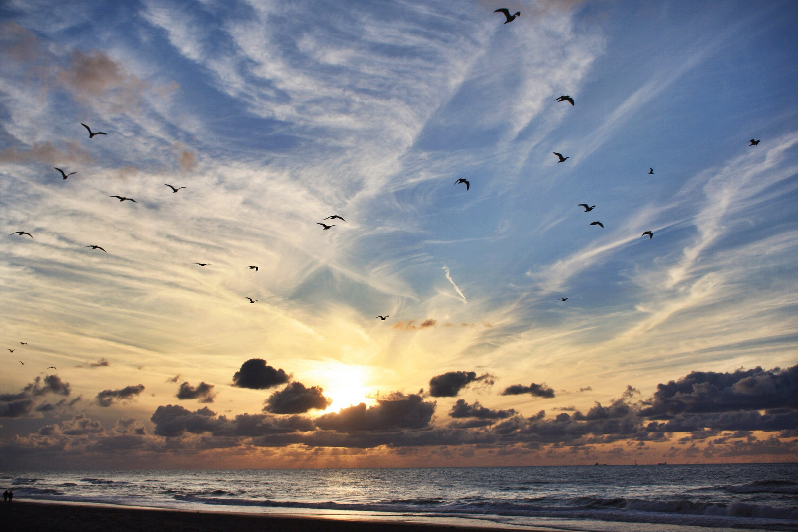 Sunset with birds